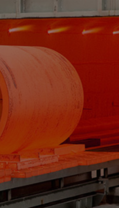 House Treatment banner